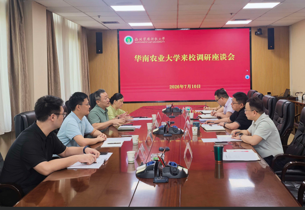 QQ_1783672756597.png